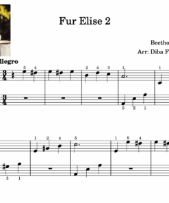 Fur Elise 2