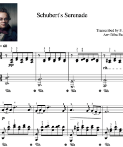 Serenade - Schubert