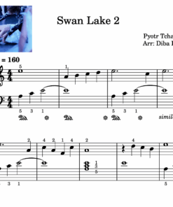 Swan Lake